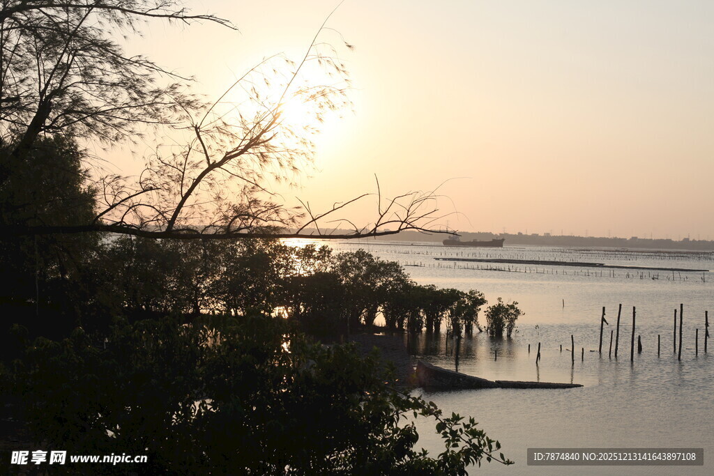 夕阳下的河畔风光