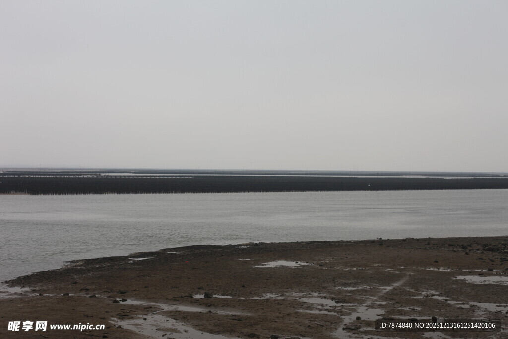 蚝场滩涂景象