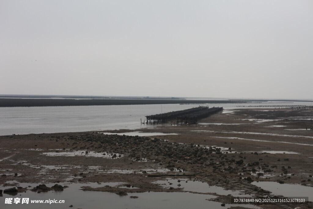 河岸滩涂景象