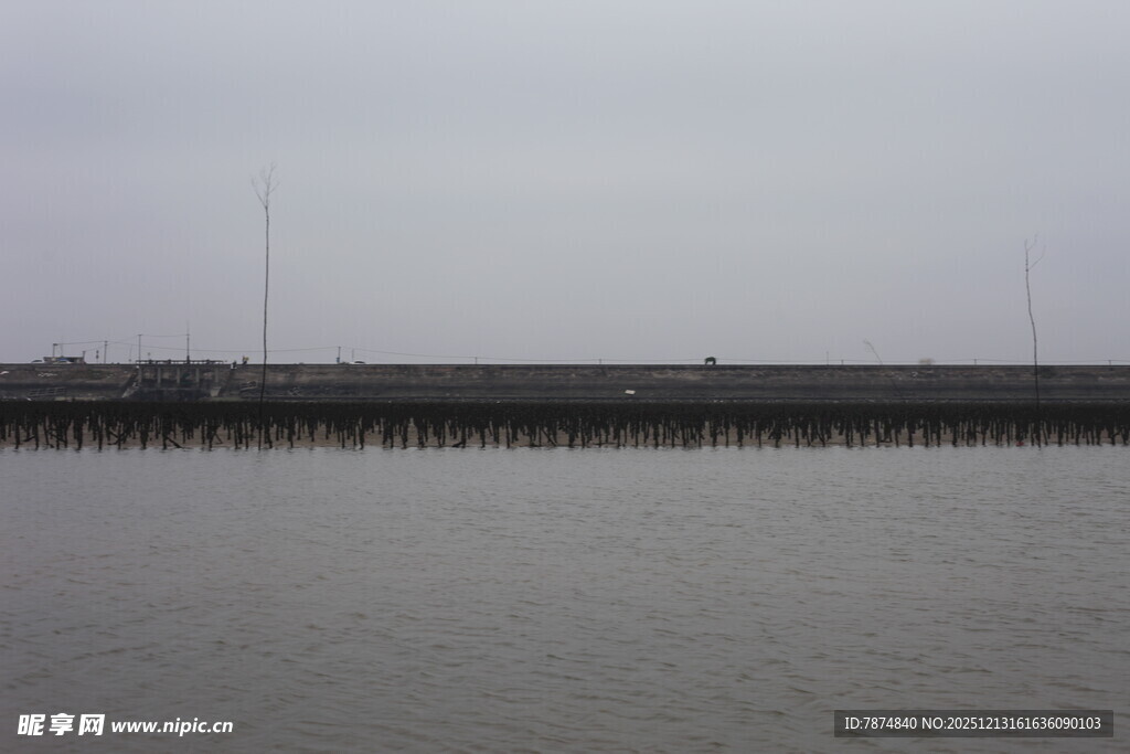 蚝场海边滩平静水面景象