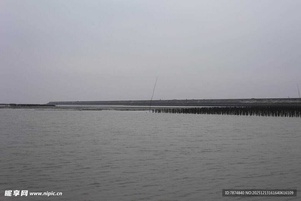平静水面与远处岸线景观
