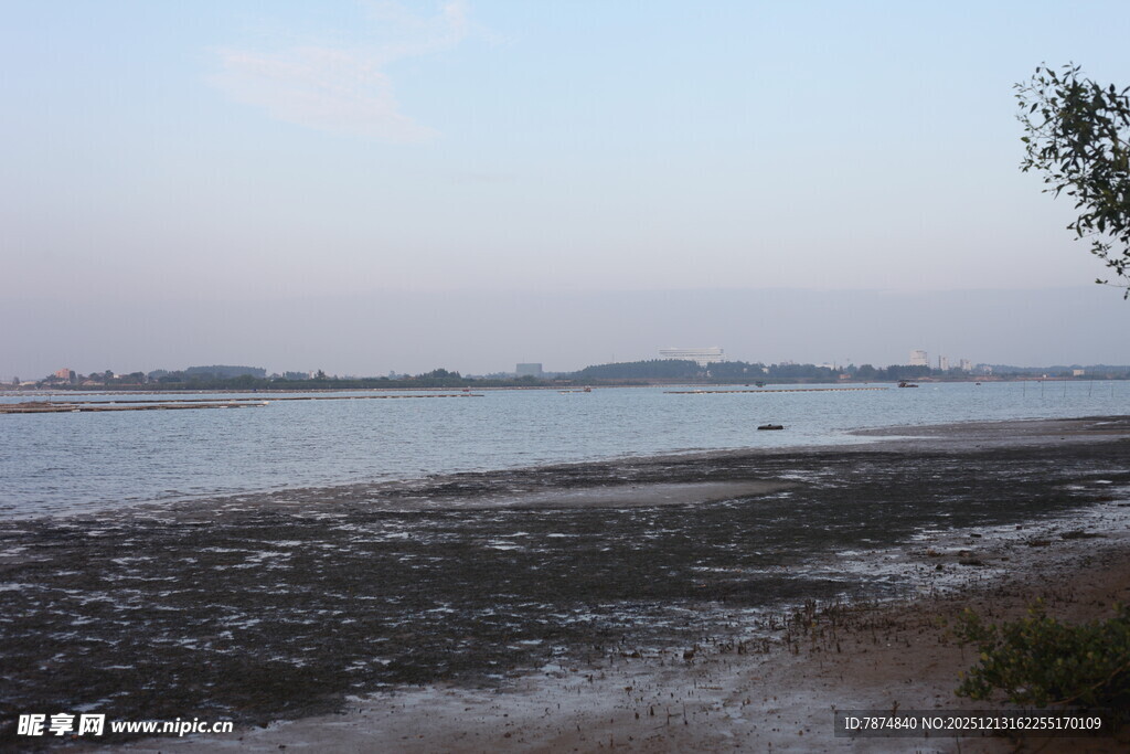 黄昏下的宁静河岸风光