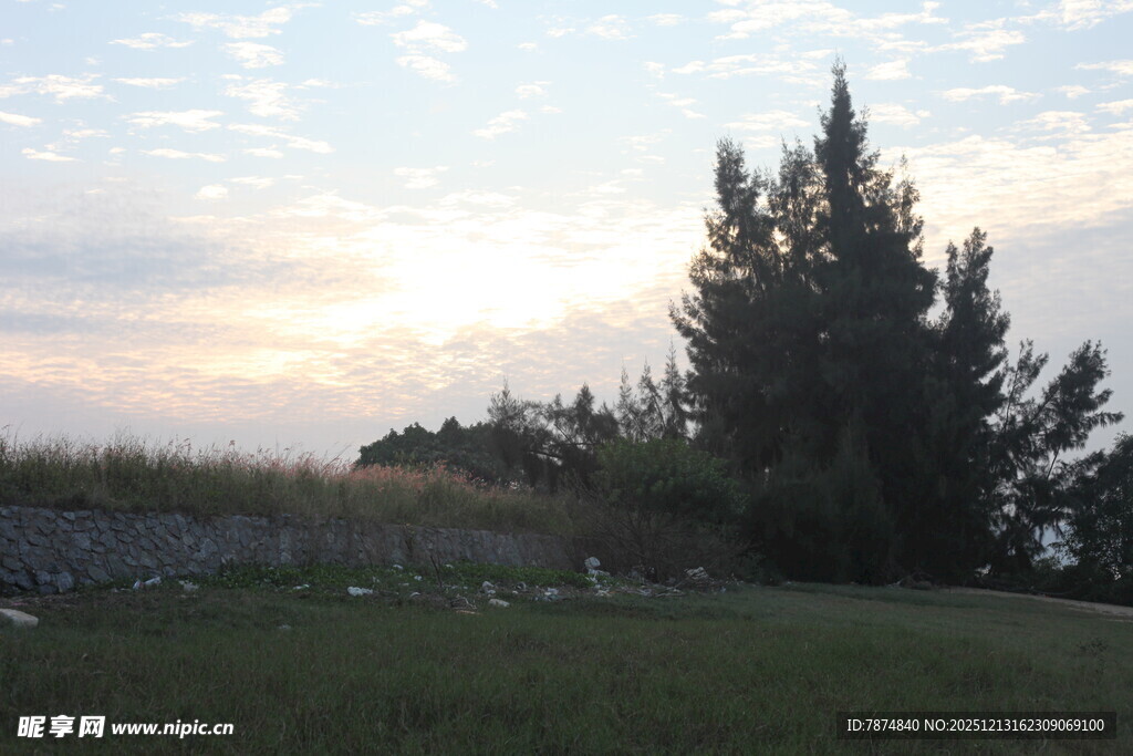 日落时分的草地与树木