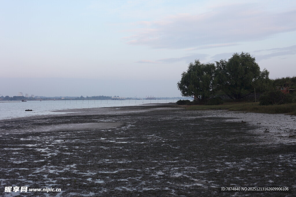 黄昏下的河畔湿地景观