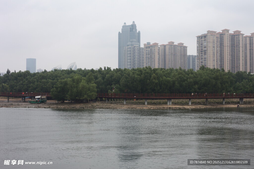 河畔高楼与绿树景观