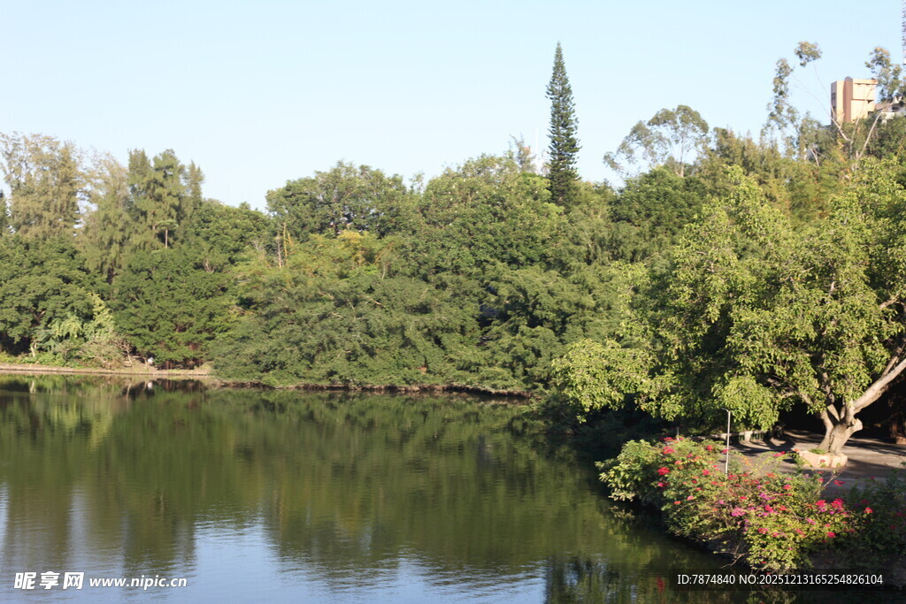 湖畔绿树成荫的美丽景致