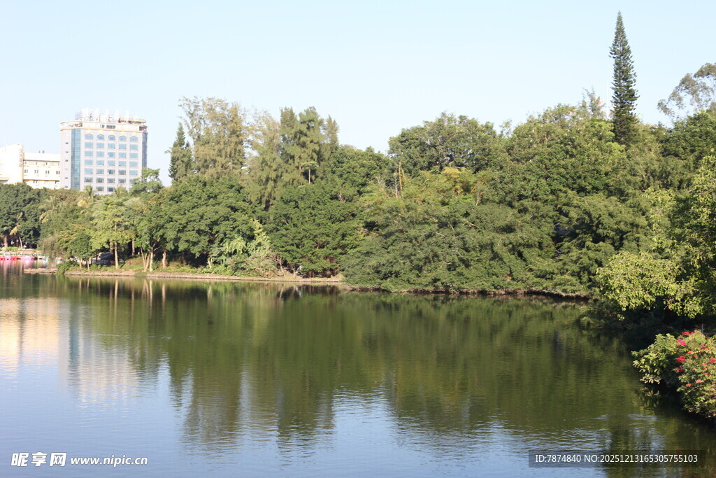 湖畔绿树成荫的宁静风光