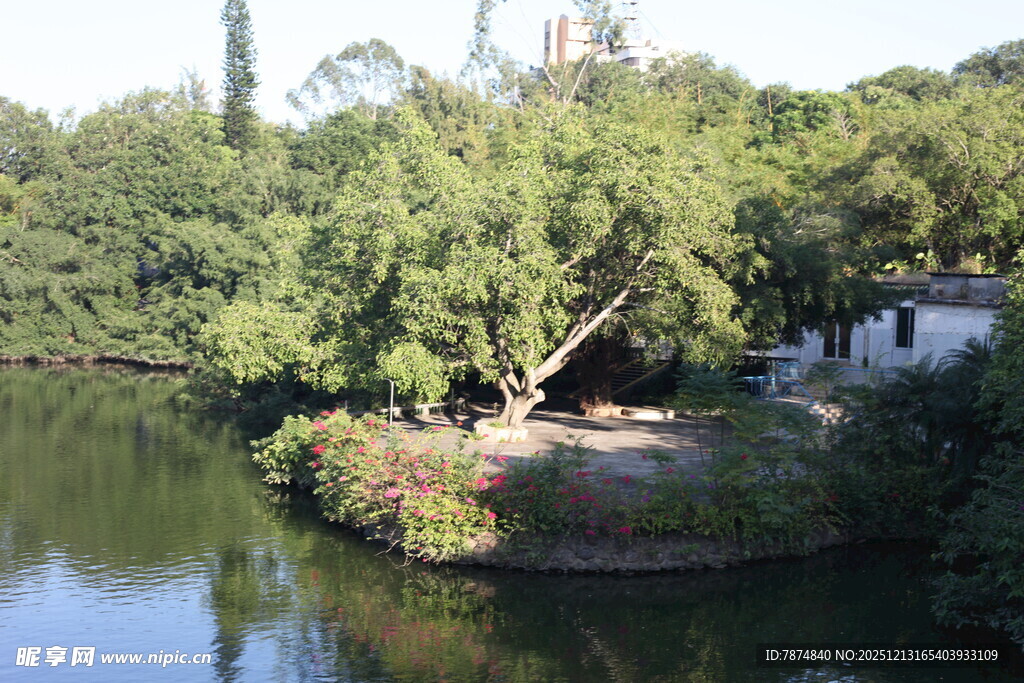 湖畔绿树环绕的静谧景致