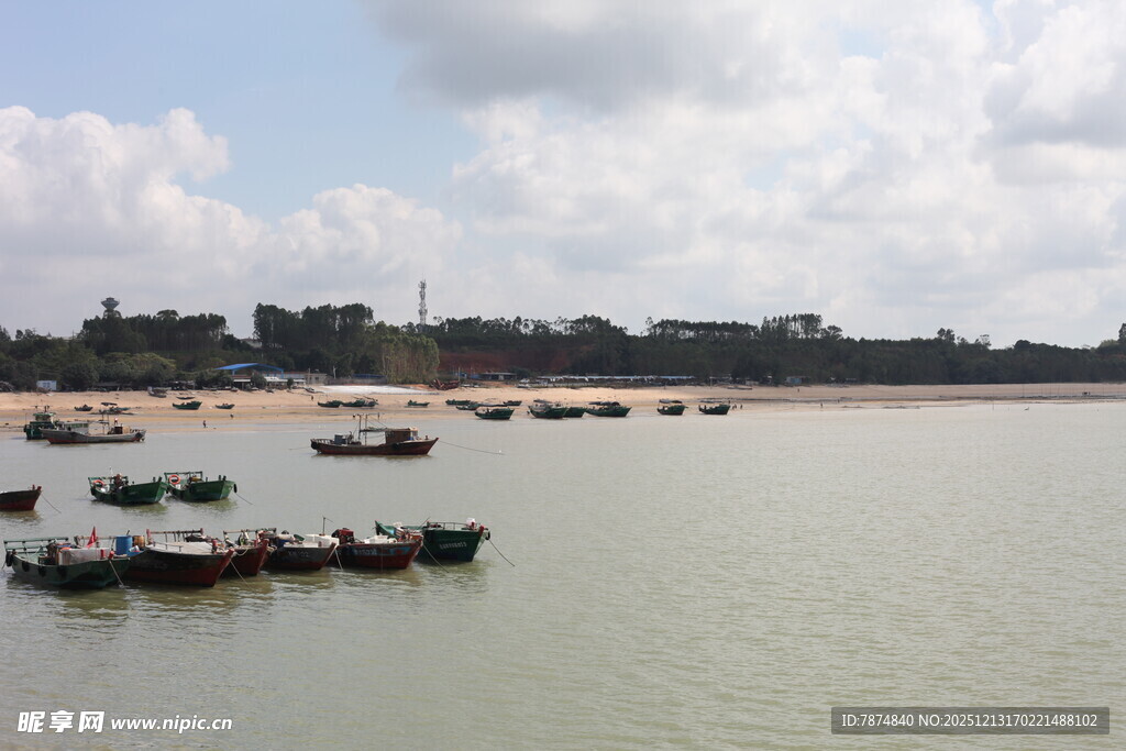 海边停泊的众多渔船
