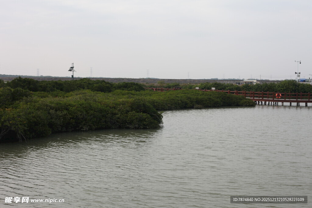 河畔绿植环绕的宁静水域