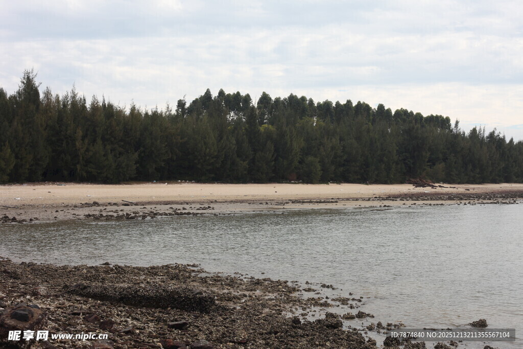 宁静湖畔沙滩与茂密树林