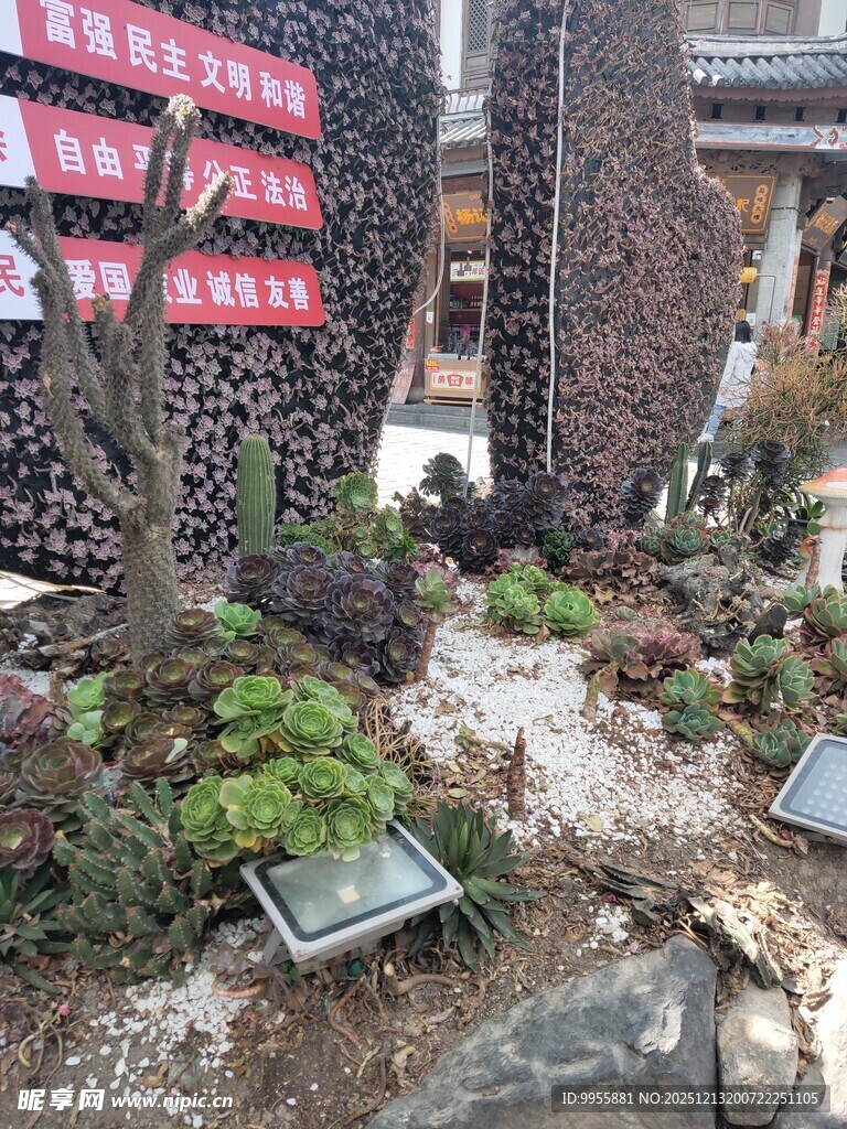 云南 大理 丽中式庭院景观一角