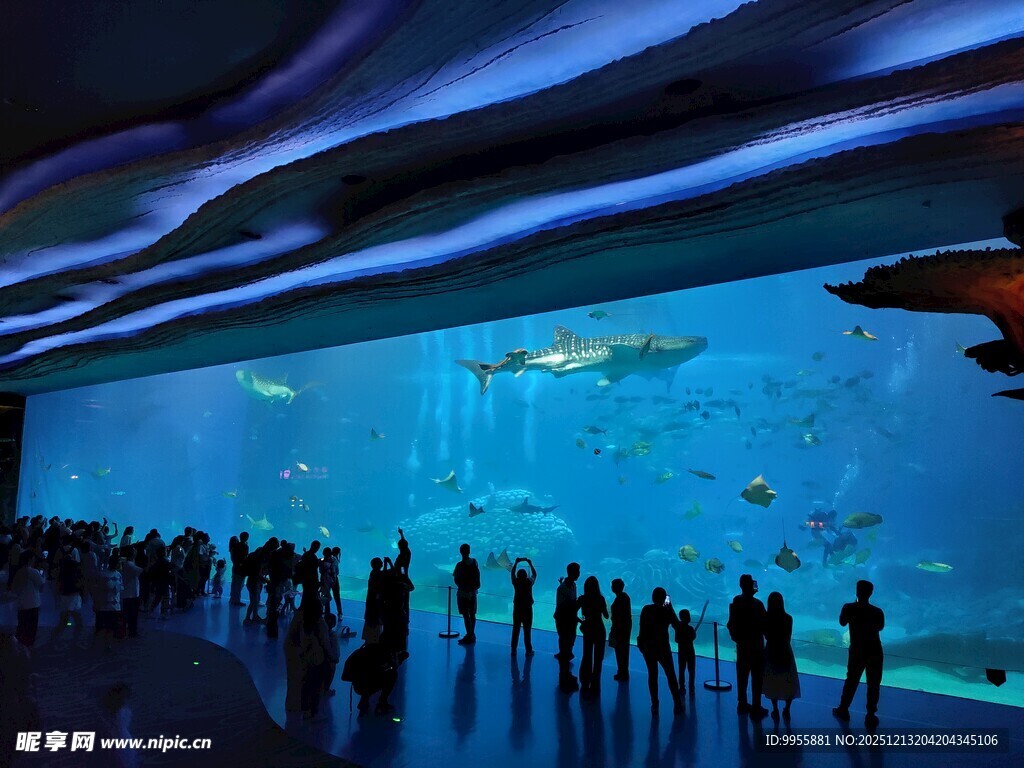 参观巨型水族馆的人群