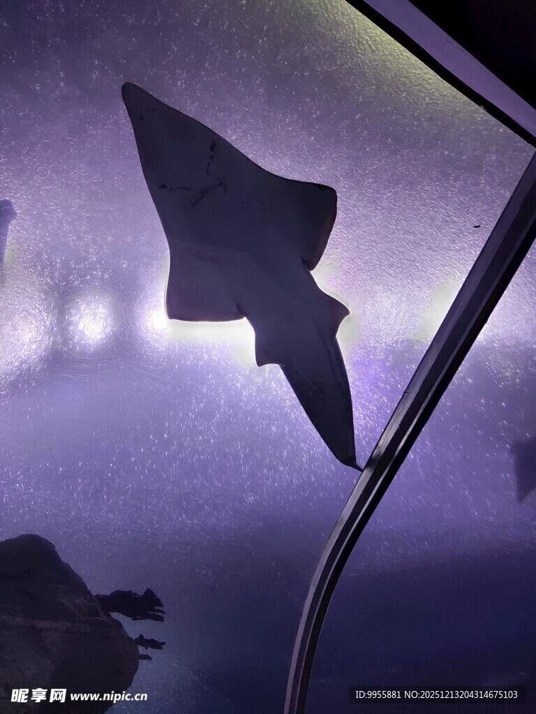 神秘箭头剪影暗夜氛围浓