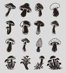 矢量蘑菇野生菌素材