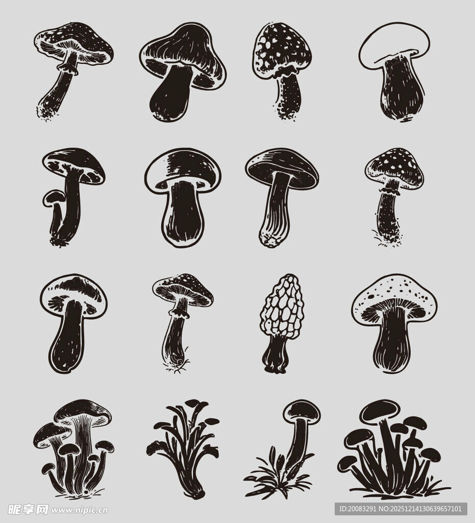 矢量蘑菇野生菌素材