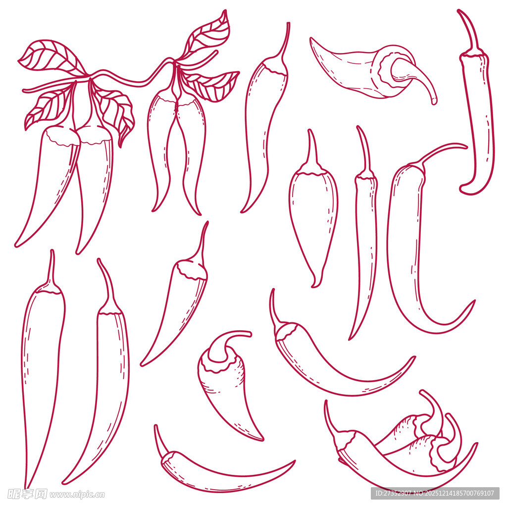 手绘辣椒线条