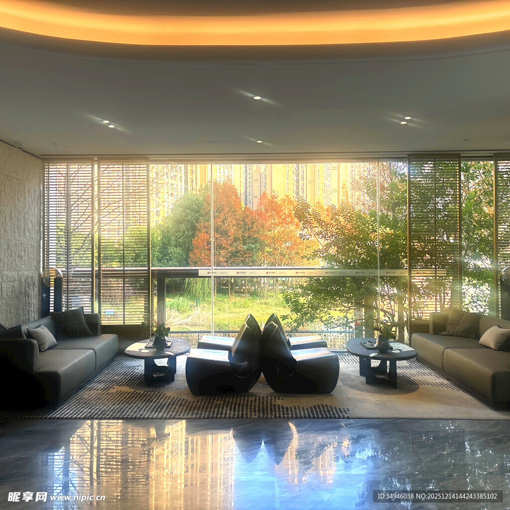 现代奢华客厅室内景观