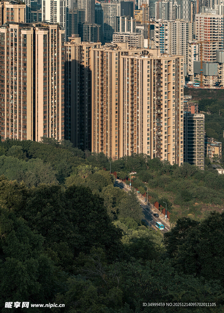 城市高楼与葱郁植被景观