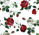 玫瑰花卉无缝图案设计
