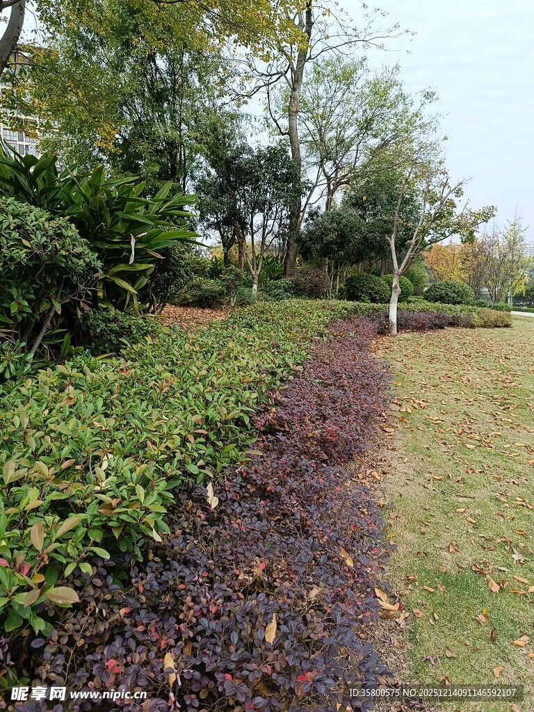 秋日园林小径景观