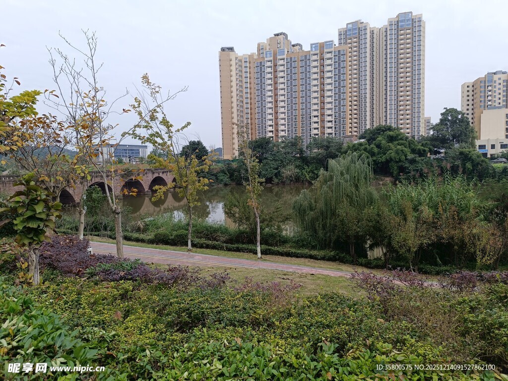 城市公园与远处高楼景观