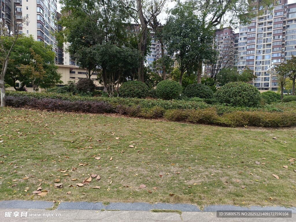 小区内的绿化景观