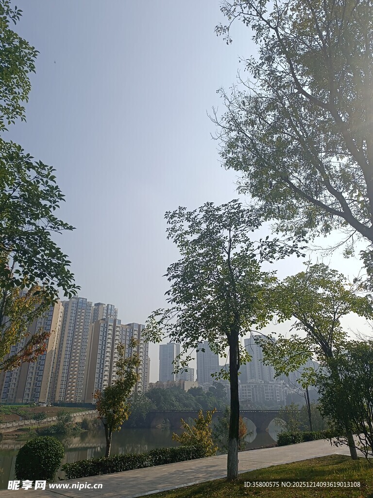 城市公园旁的高楼景观