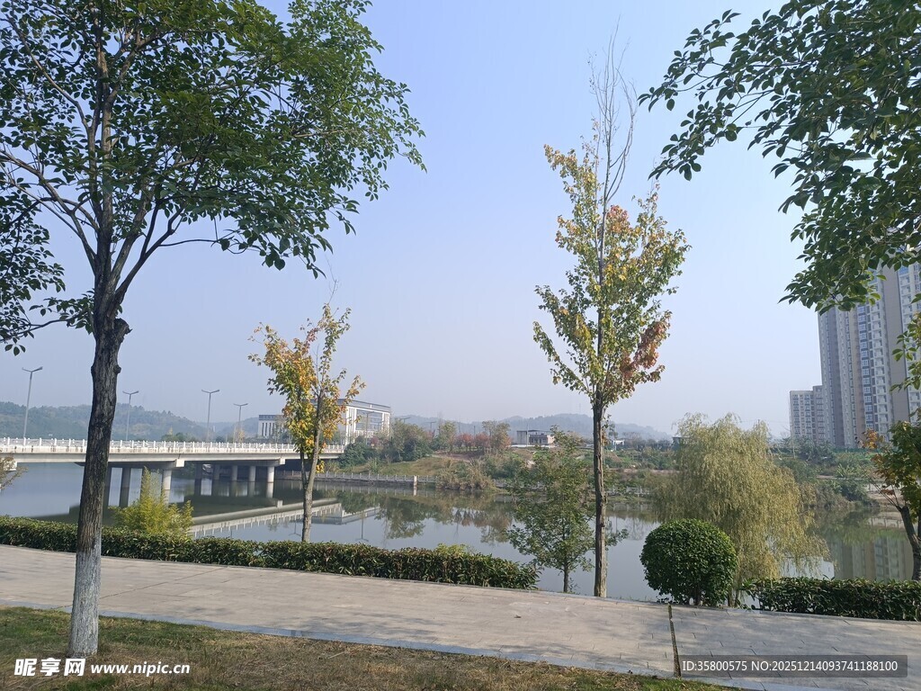 城市河畔林荫步道风景