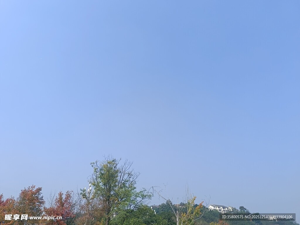 蓝天绿树风景图