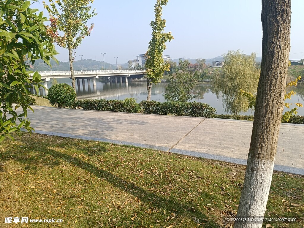 河畔公园美景