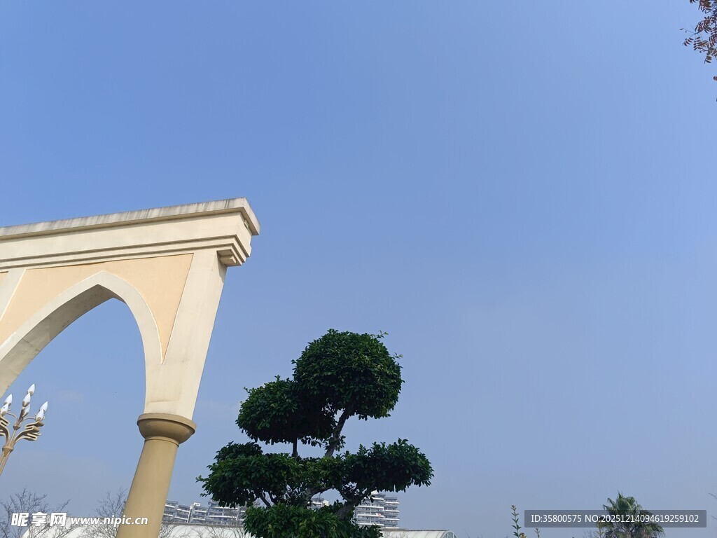 拱形建筑旁的造型树木
