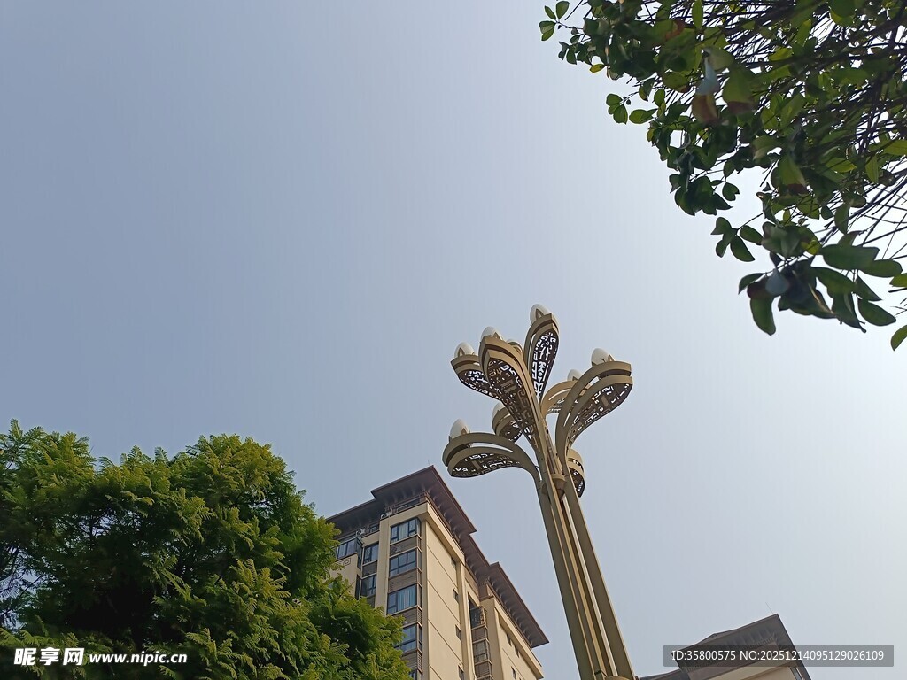 城市中的独特路灯与建筑