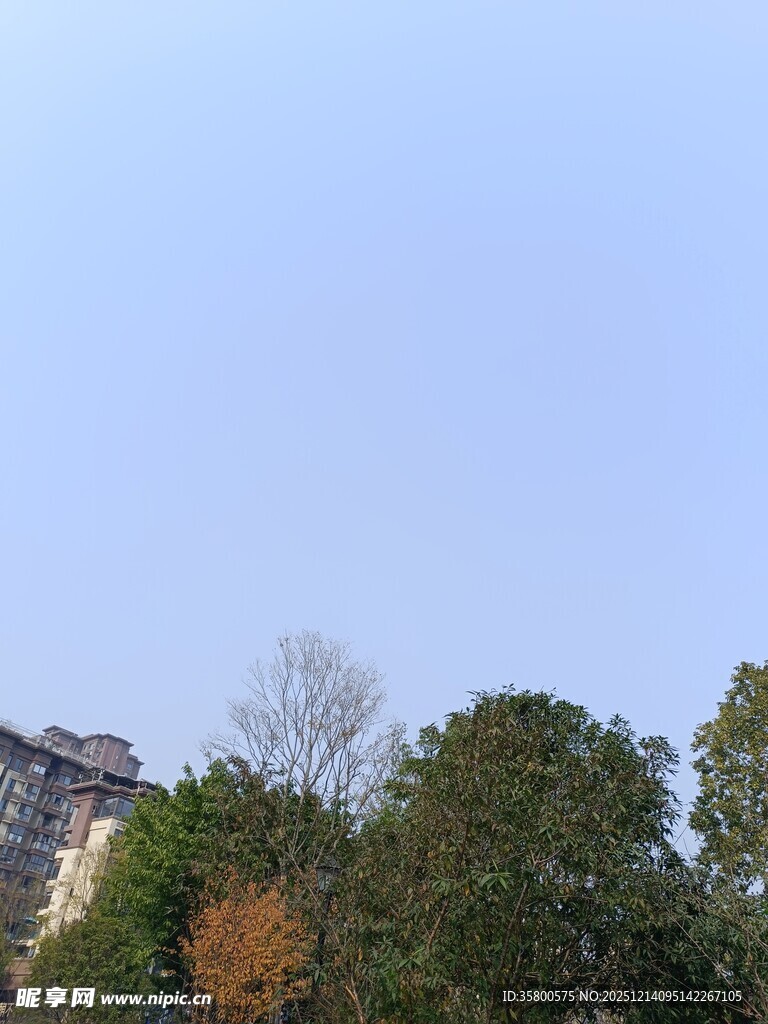 蓝天绿树间的建筑一角