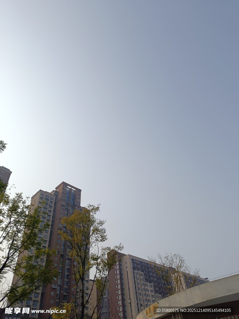 城市高楼与蓝天绿树景观