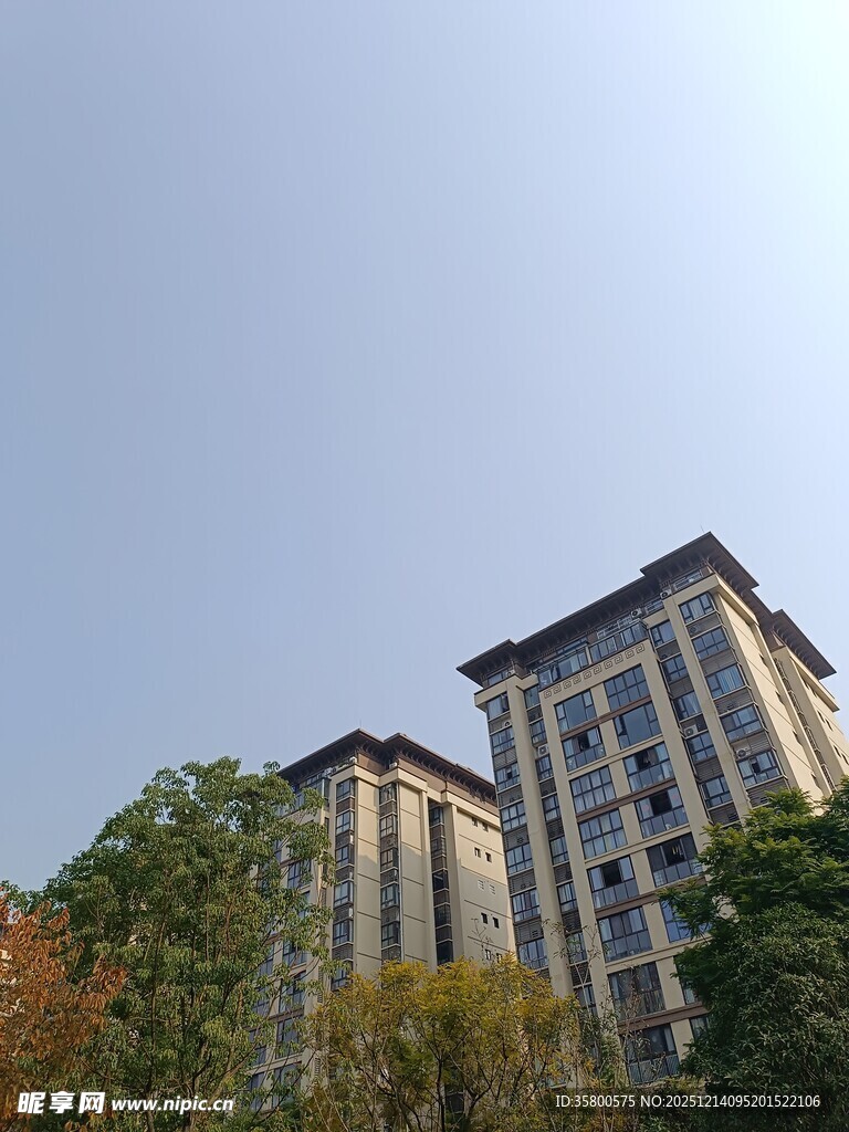 高层住宅旁的绿树景观