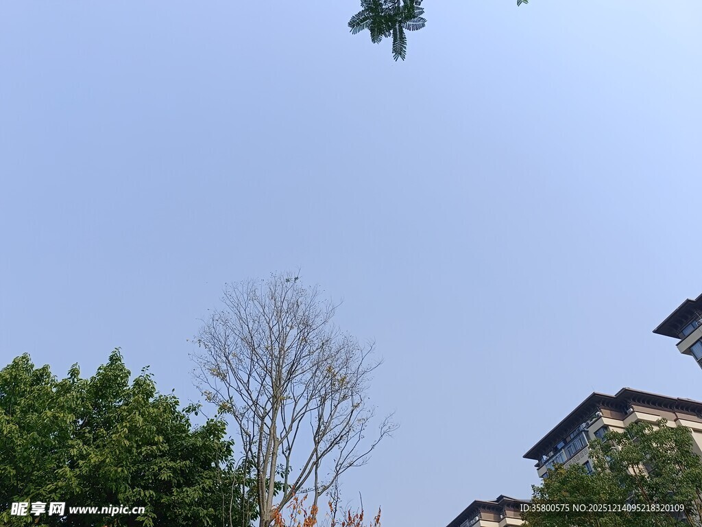 空中无人机与周围建筑树木