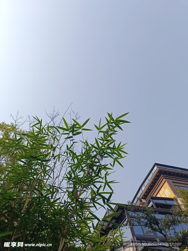竹林旁的温馨小屋