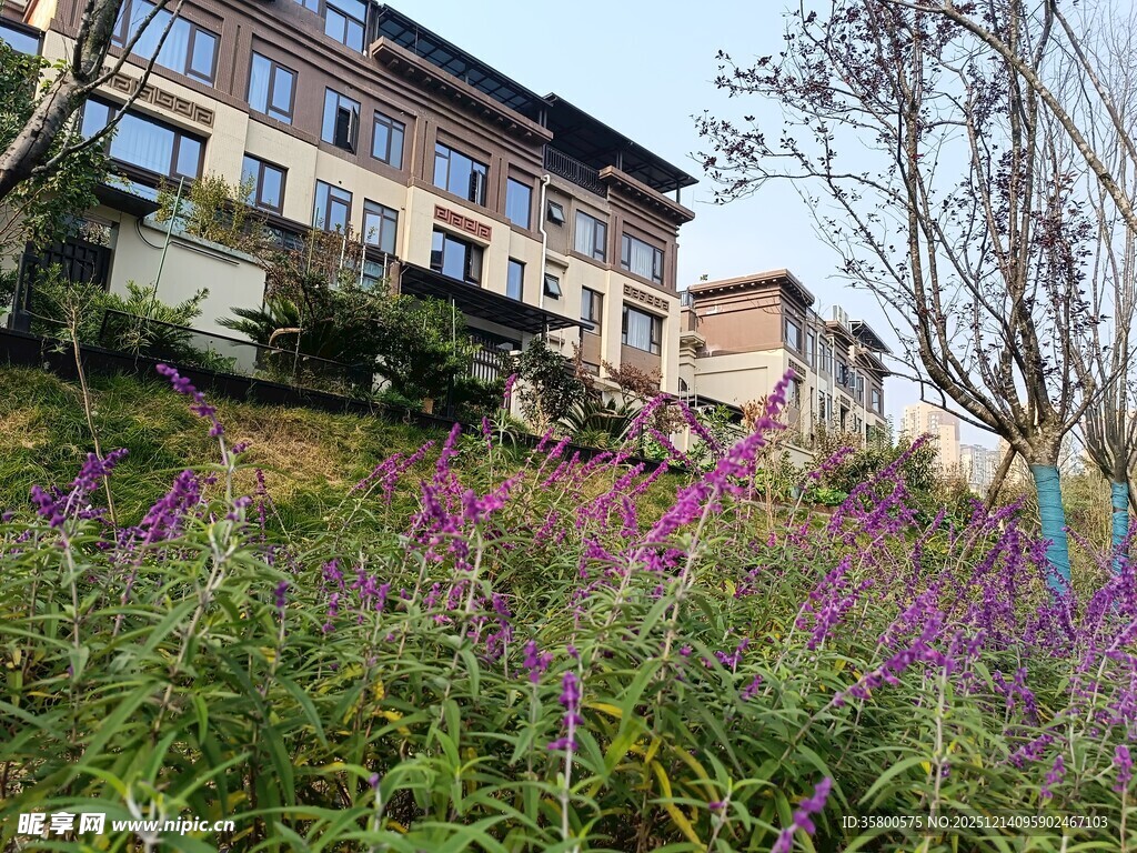 繁花簇拥下的建筑美景