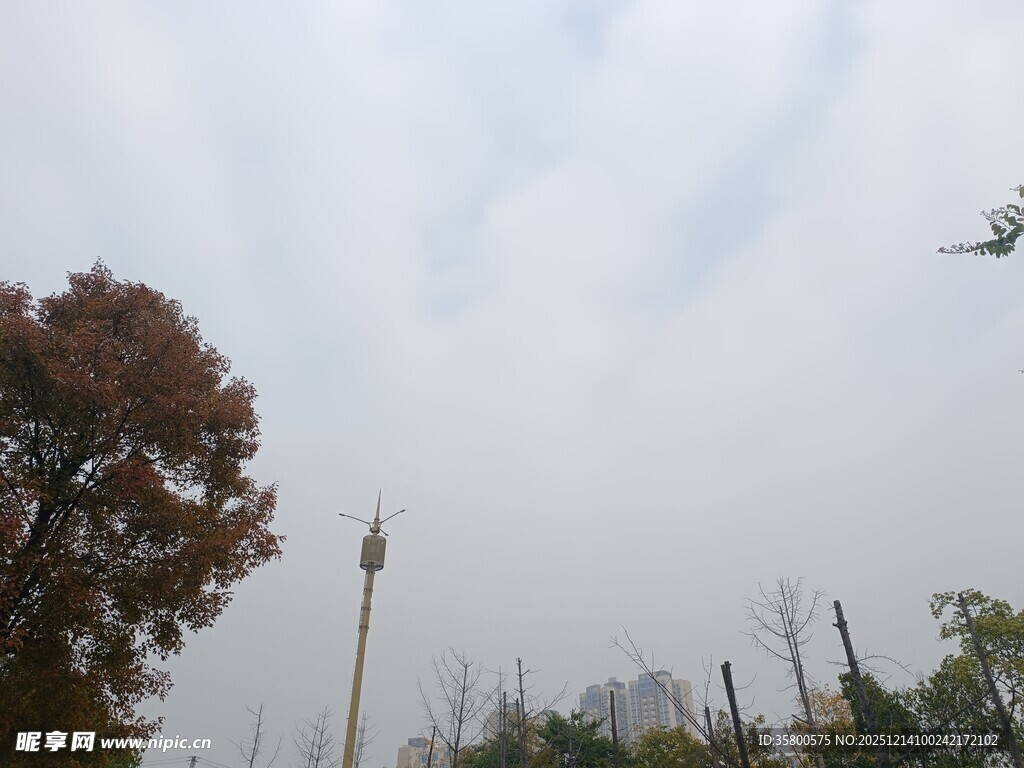 雾中树木与高塔景象