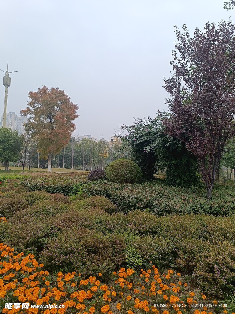 秋日花卉园林美景