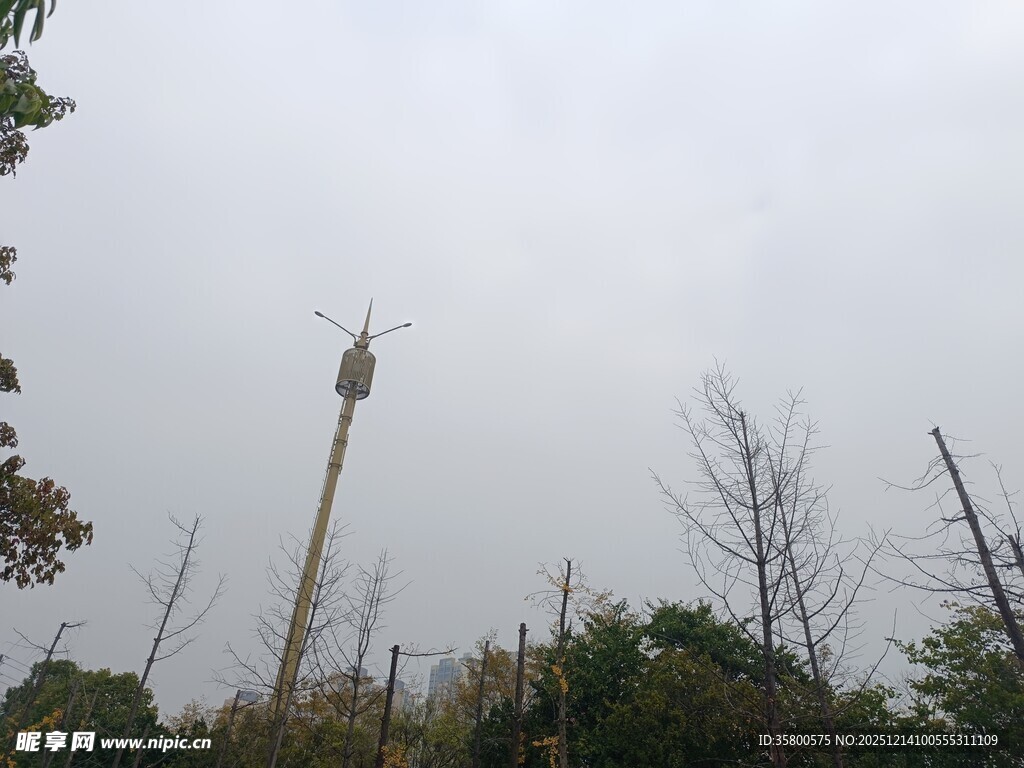 高耸塔吊立于植被间