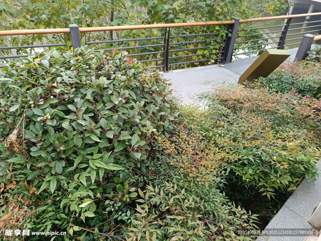 户外绿植环绕的休闲区域