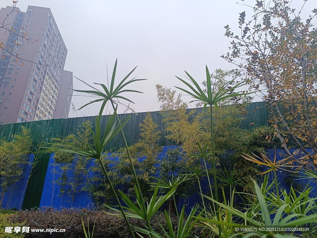 城市中的绿植景观