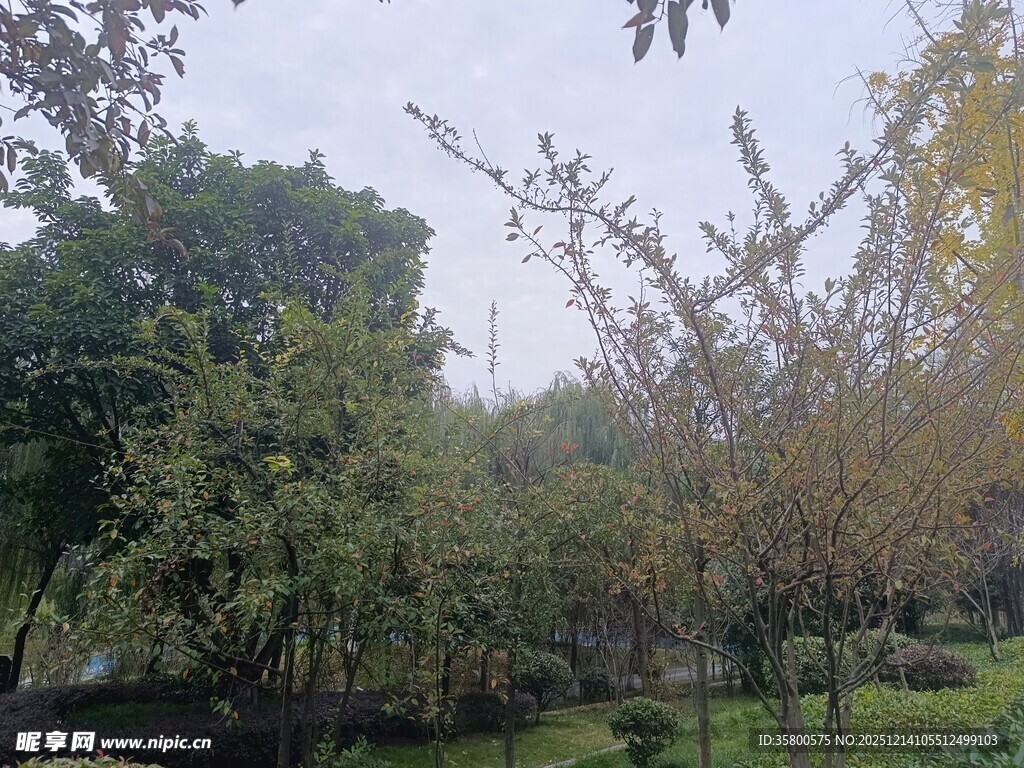 户外绿意盎然的自然景致