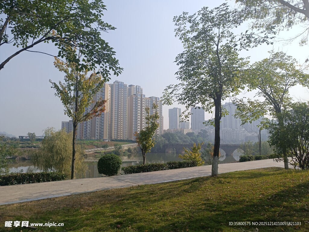 城市公园中的绿树与建筑