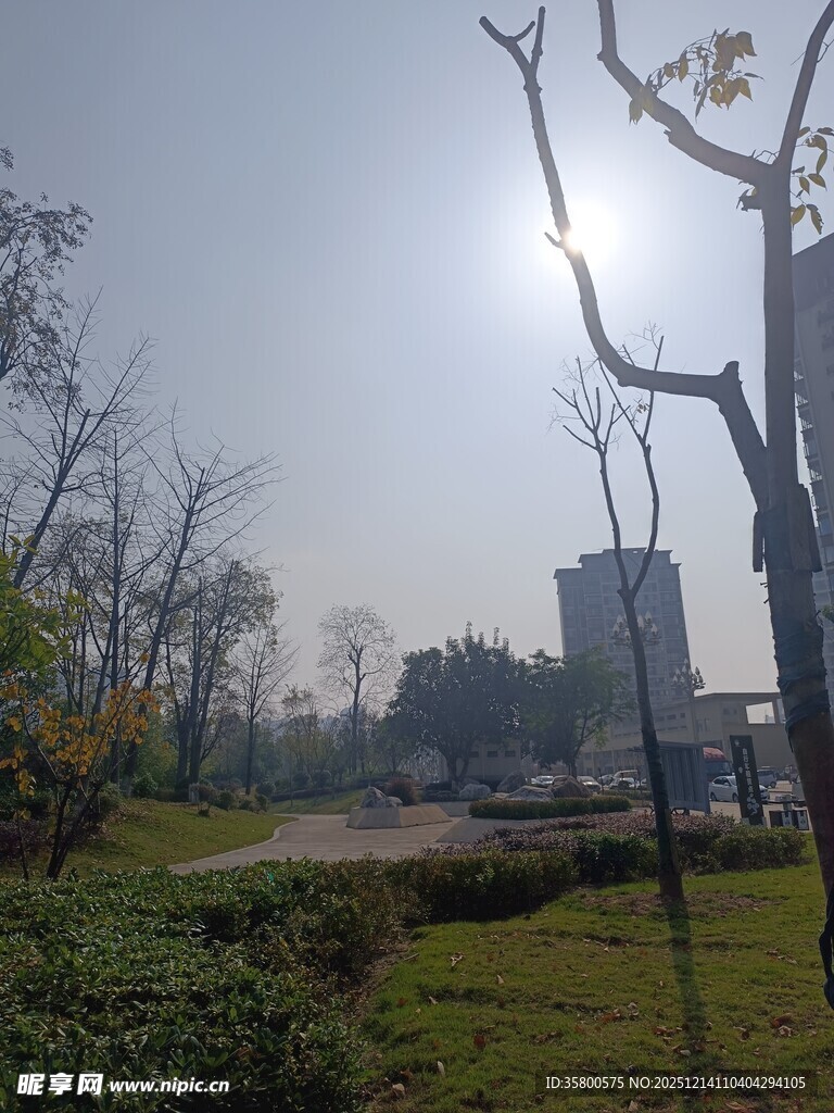 城市公园的冬日阳光景象