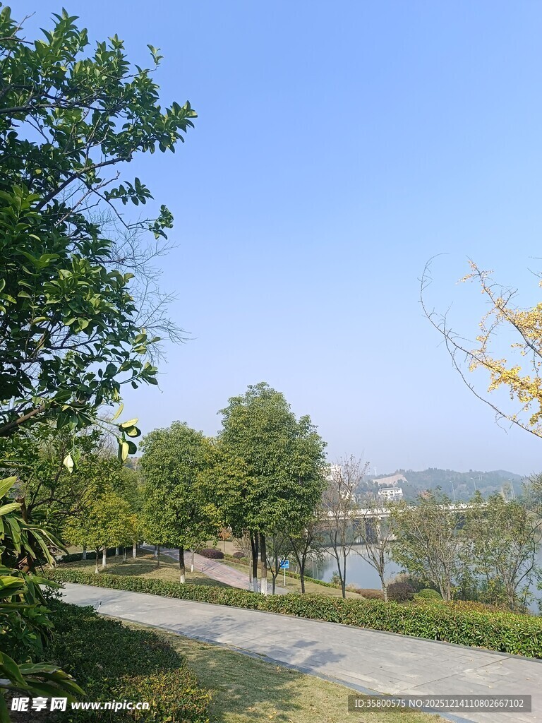 湖畔林荫小道自然风光