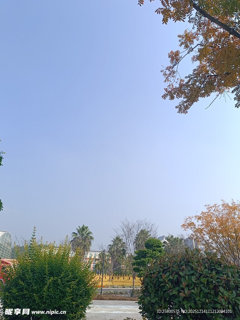 秋日户外园林景致