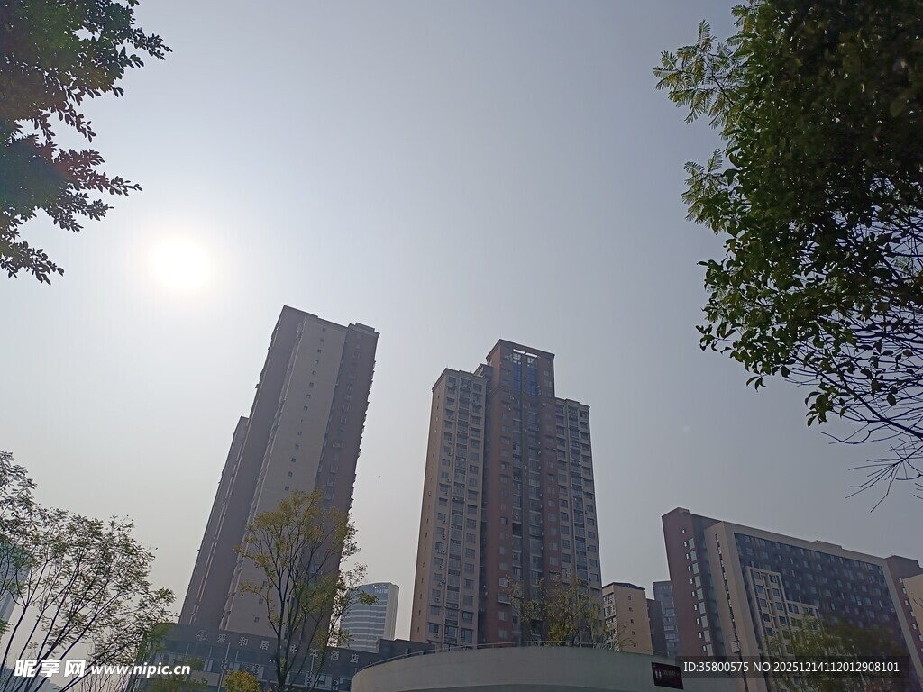 城市高楼与绿树景观